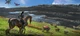 Игра PS5 Avatar: Frontiers of Pandora Special Edition (Б.У.) - Б/У - изображение 5