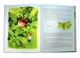 Книга для детей Пёсик Гав, соловей, шмель и два жёлудя / Woofy the Dog, a Nightingale, a Bumblebee, and two - изображение 2