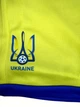 Футбольна форма дитяча Lion Zinchenko (Зінченко) 17 збірної України 24/25, розмір 16 на зріст 95-105 см, жовта (TNC-17-2-16) - зображення 11