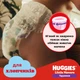 Подгузники-трусики Huggies Little Movers/Pants 6 (15-25 кг) Box для мальчиков 60 шт (5029053564142) - изображение 8