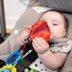Іграшка-підвіска на коляску Baby Einstein Touch of Nature (16886) - зображення 10