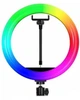 Кольцевая LED лампа RGB MJ26 (1 крепление) (управление на проводе) - изображение 2