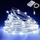 Світлодіодна LED Гірлянда 5м На USB та Батарейках Біле Світло - зображення 1