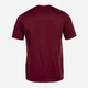 Дитяча футболка для хлопчика Joma Combi 100052.671 100-117 см Темно-бордова (9997628844028) - зображення 2