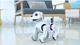 Робот собачка на радиоуправлении Smart Dog озвуч. английском, песни, истории, географические факты, движется - изображение 5