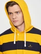 Худі GANT Barstripe Heavy Rugger 2005044 Ivy Gold 2XL - зображення 5
