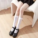 Жіночі капронові однотонні гольфи гетри довгі шкарпетки Honey Fashion Accessories 35-39р білий (1-215) - изображение 1