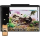 Розумний акваріум Petkit ERAARK PRO landscape прямий 40 x 16,8 x 26,5 см (12 л) - зображення 7