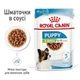 Вологий корм для цуценят Royal Canin X-Small Puppy pouch 85 г - зображення 2