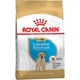 Cухий корм для цуценят Royal Canin Labrador Retriever Puppy 3 кг - изображение 1