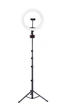 Кільцева лампа з тримачем для телефону Joyroom JR-ZS228 Touch Selfie Ring Light 1.9 м Black (JR-ZS228 AKL03) - изображение 1