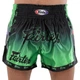 Шорты для тайского бокса и кикбоксинга Fairtex 9474 размер XL (48-50) Green-Black - изображение 2