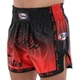 Шорты для тайского бокса и кикбоксинга Fairtex 9474 размер S (42-44) Red-Black - изображение 1