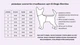 Жилет стежка Dogs Bomba марсала Dogs Bomba G-40/9 - зображення 4