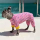 Костюм легкий конфетти розовый Dogs Bomba D-161/5 - изображение 1