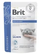 Корм Brit VD Recovery вологий для котів при відновленні після операцій, отруєнь та проблем з імунітетом 85 гр - зображення 1
