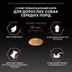 Сухой корм для собак Purina Pro Plan Dog Medium Adult Sensitive Skin с лососем и рисом 14 кг (7613035120464) - изображение 2