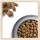 Сухой корм для собак Purina Dog Chow Active Adult со вкусом курицы 2.5 кг (7613034487858) - изображение 5