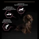 Сухой корм для собак Purina Pro Plan Small&Mini Sensitive Skin с лососем 7 кг (7613035123441) - изображение 2