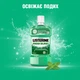 Ополіскувач для порожнини рота Listerine Сплеск свіжості 250 мл (5010123703431) - зображення 7