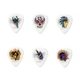 Медиатор Jim Dunlop Alan Forbes Pick 1.0mm 6 шт. (BL100P1.0) - изображение 1