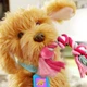 Интерактивная игрушка My Fuzzy Friends Лабрадудель Moji (укр. – англ.) (18207-UKR-ENG) - изображение 4