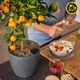 Вазон Lechuza CLASSICO Color ECO 18, темно-серый (A-014829) - изображение 7