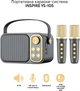Портативная караоке-система Inspire YS-105 Black - изображение 2