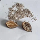 Павловния войлочная семена (50 шт) (Paulownia tomentosa) медонос морозостойкая быстроростущая - изображение 10