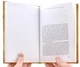 Книга "Дитя Мадал. Біографія Шрі Чинмоя" (рос., 2012). Автор Відагда Беннетт - зображення 6