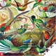 Пазл GoodLoot Imagination: Ernst Haeckel Hummingbirds/Kolibry 1000 элементов [104305] - изображение 2