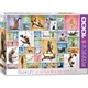 Пазл Eurographics Йога Кішки 1000 елементів [103871] - зображення 1