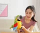 Іграшка папуга інтерактивна Parrot Talking повторює слова та махає крилами Зелений - зображення 4