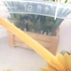 Хозяйственное пластиковое ведро 12 л с мерной шкалой Подсолнух IRAK PLASTIK - изображение 3