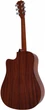 Акустична гітара Alfabeto Solid WMS41 (Satin) + чохол - зображення 2