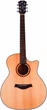 Акустична гітара Alfabeto Solid AMS40 (Satin) + чохол - зображення 1