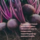 Натуральная добавка премиум-класса оксида азота Deal Supplement Organic Beet Root Powder 1360 г - изображение 4