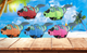 Спасательный жилет для собак Derby Fish Design Orange S - изображение 5