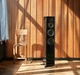 Акустика Dynaudio Focus 50 - изображение 9