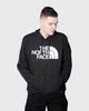 Бомбер мужской The North Face Half Dome Pullover M Чорний NF0A7UNLKY4 - изображение 2