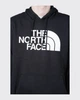 Бомбер мужской The North Face Half Dome Pullover M Чорний NF0A7UNLKY4 - изображение 4
