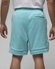 Шорти чоловічі Jordan Flight Fleece Shorts Light L Блакитний (DQ7472-464) - зображення 3