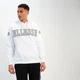 Бомбер мужской Ellesse Montato Oh L Комбінований SXT19205-908 - изображение 1