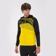 Кофта мужская Joma Supernova Ii L Жовто-чорний 101605.901 - изображение 1