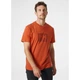 Футболка мужская Helly Hansen T-Shirt In Morbido Cotone Hh Box M Помаранчевий 53285-179 - изображение 3