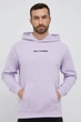Кофта мужская Helly Hansen Core Graphic Hoodie Hoodie In Lilatech XL Фіолетовий 53924-699 - изображение 1
