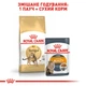 Сухий корм для дорослих кішок Royal Canin Bengal Adult для кошек породы бенгальская 2 кг (3182550864091) (4370020)A - изображение 6