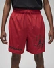 Шорты мужские Jordan Dri-Fit Sport Bc Mesh Shorts XL Красный (DZ0569-687) - изображение 2