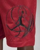 Шорты мужские Jordan Dri-Fit Sport Bc Mesh Shorts XL Красный (DZ0569-687) - изображение 4