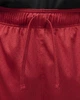 Шорты мужские Jordan Dri-Fit Sport Bc Mesh Shorts XL Красный (DZ0569-687) - изображение 6